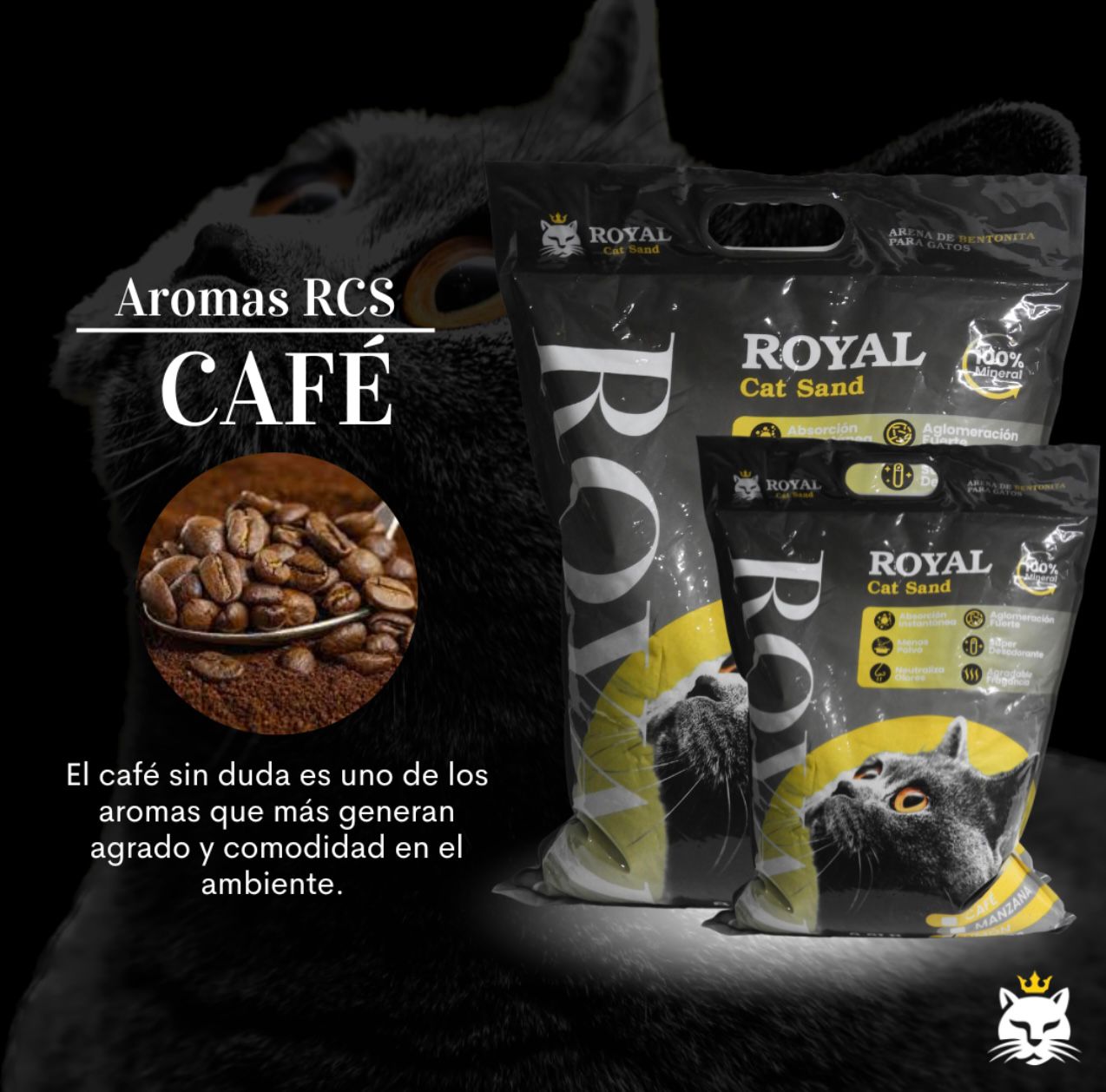 Arena Royal Cat Aroma.