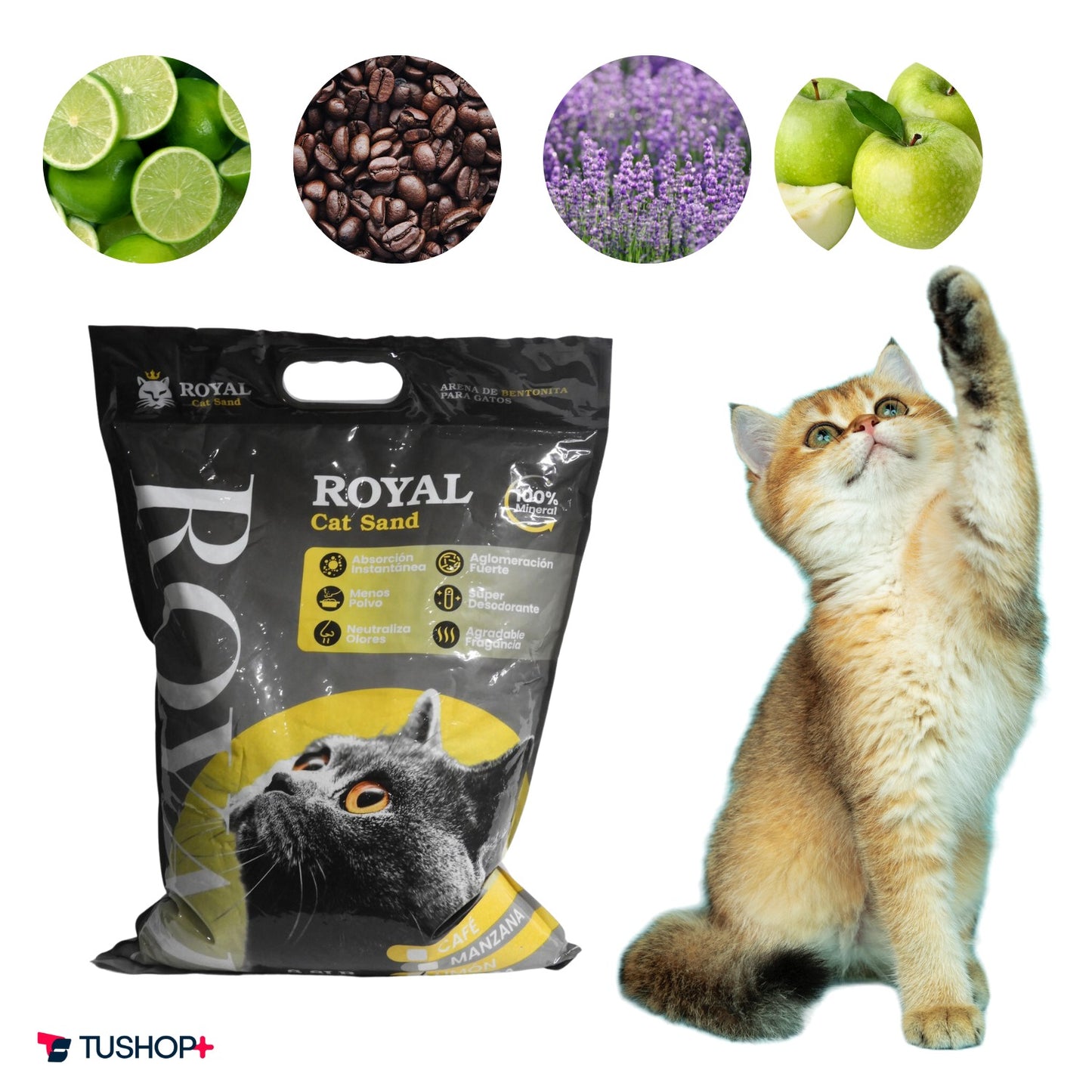 Arena Royal Cat Aroma.