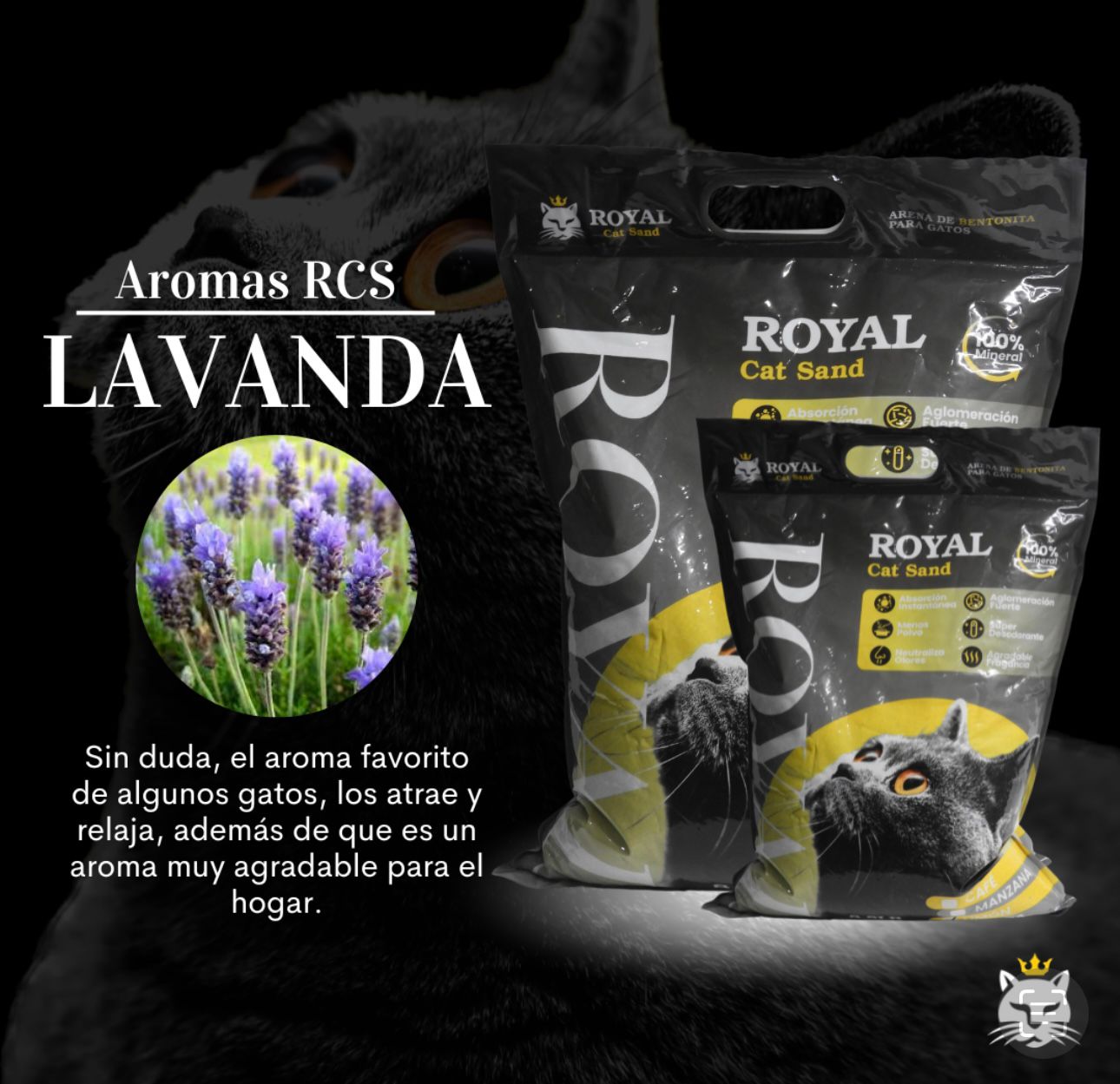 Arena Royal Cat Aroma.